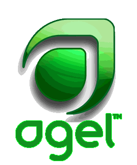 Agel Randy Gage Eric Worre Quadraplan suspesión en gel